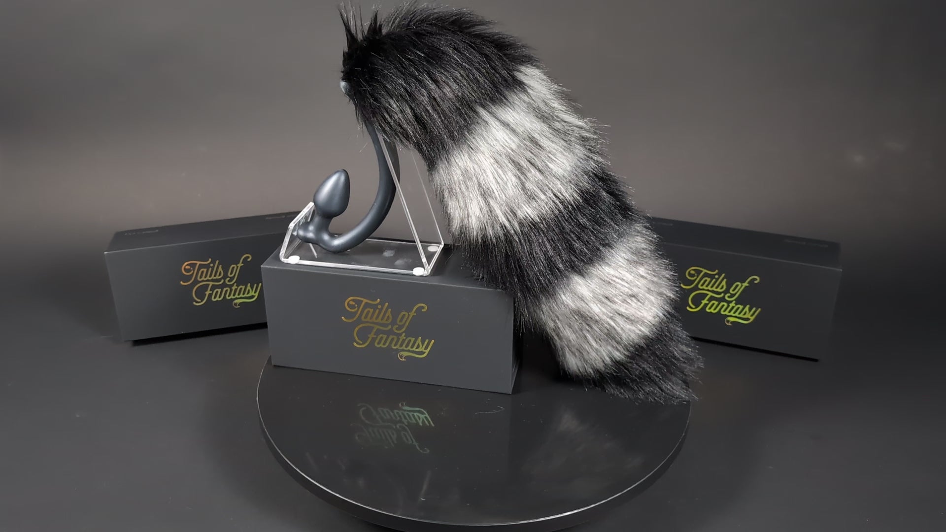 gray-raccoon-tail raccoon tail butt plug with realistic faux fur tail and raised tail design