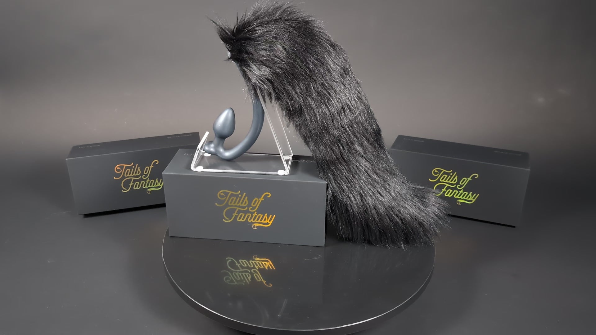 black-lab-tail in black with realistic faux fur tail and raised tail design
