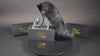black-lab-tail in black with realistic faux fur tail and raised tail design