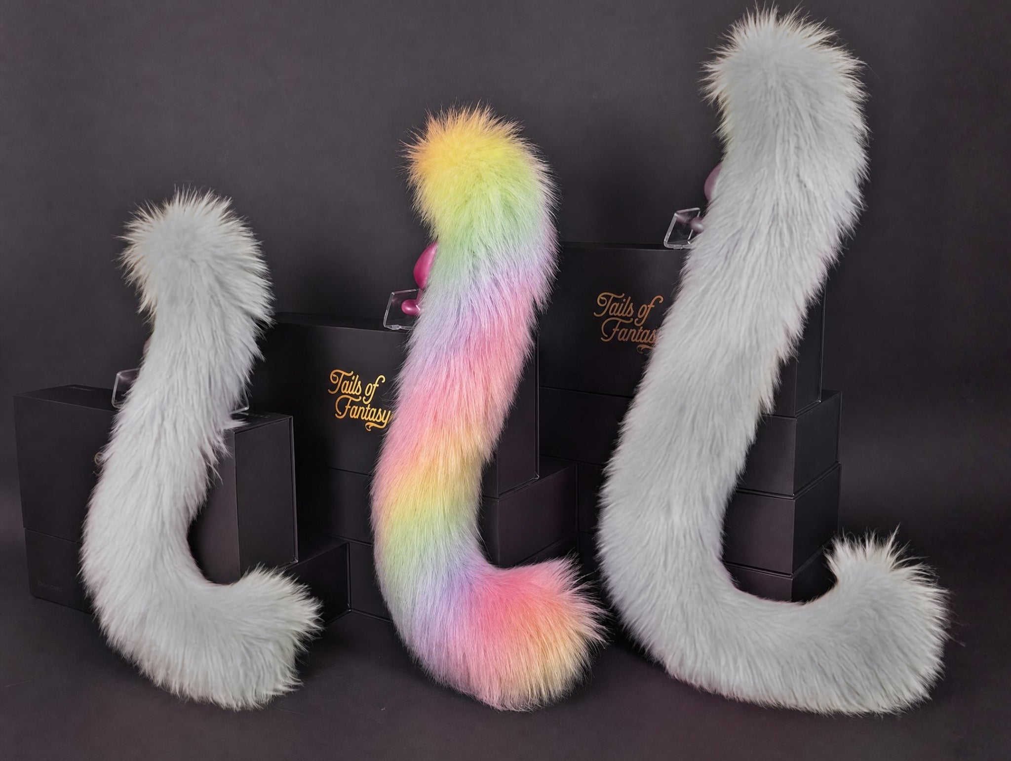 Tails of Fantasy Rainbow Cat Tail body-safe silicone butt plug featuring a unique upright support design - (medium plug) studio display of the Rainbow Cat Tail.
