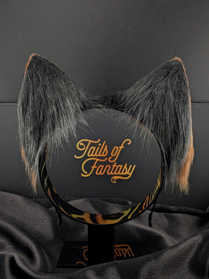 German Shepherd Dog Ears