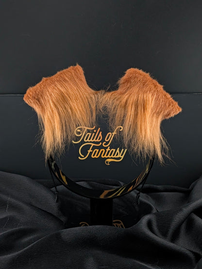 Floppy Rusty Dog Ears