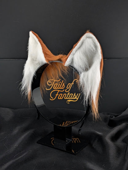 Rusty Husky Dog Ears