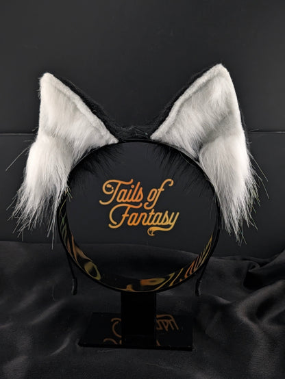 Black Husky Dog Ears