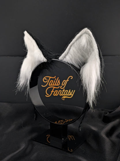 Black Husky Dog Ears