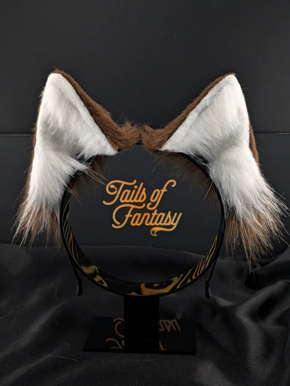 Brown Husky Dog Ears