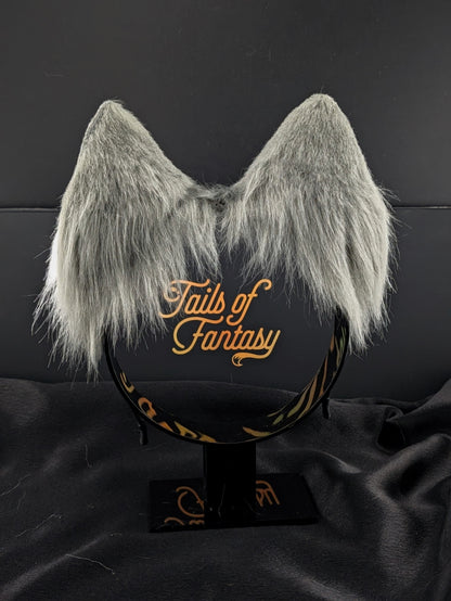 Dark Gray Husky Dog Ears