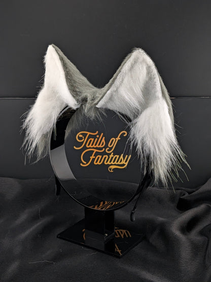 Dark Gray Husky Dog Ears