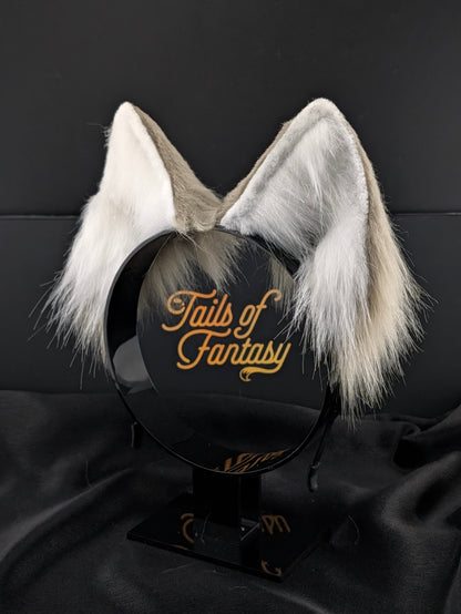 Light Gray Husky Dog Ears