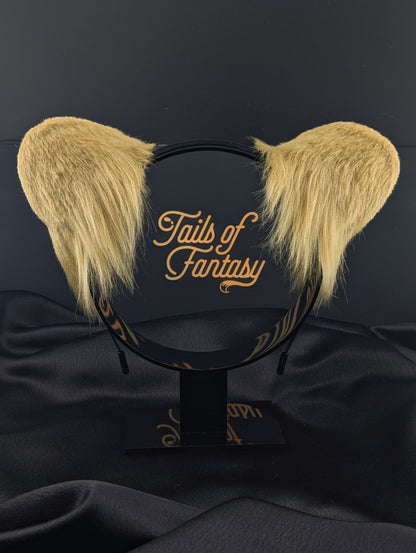 Golden Lion Ears