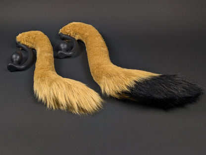 Golden Lion Tail