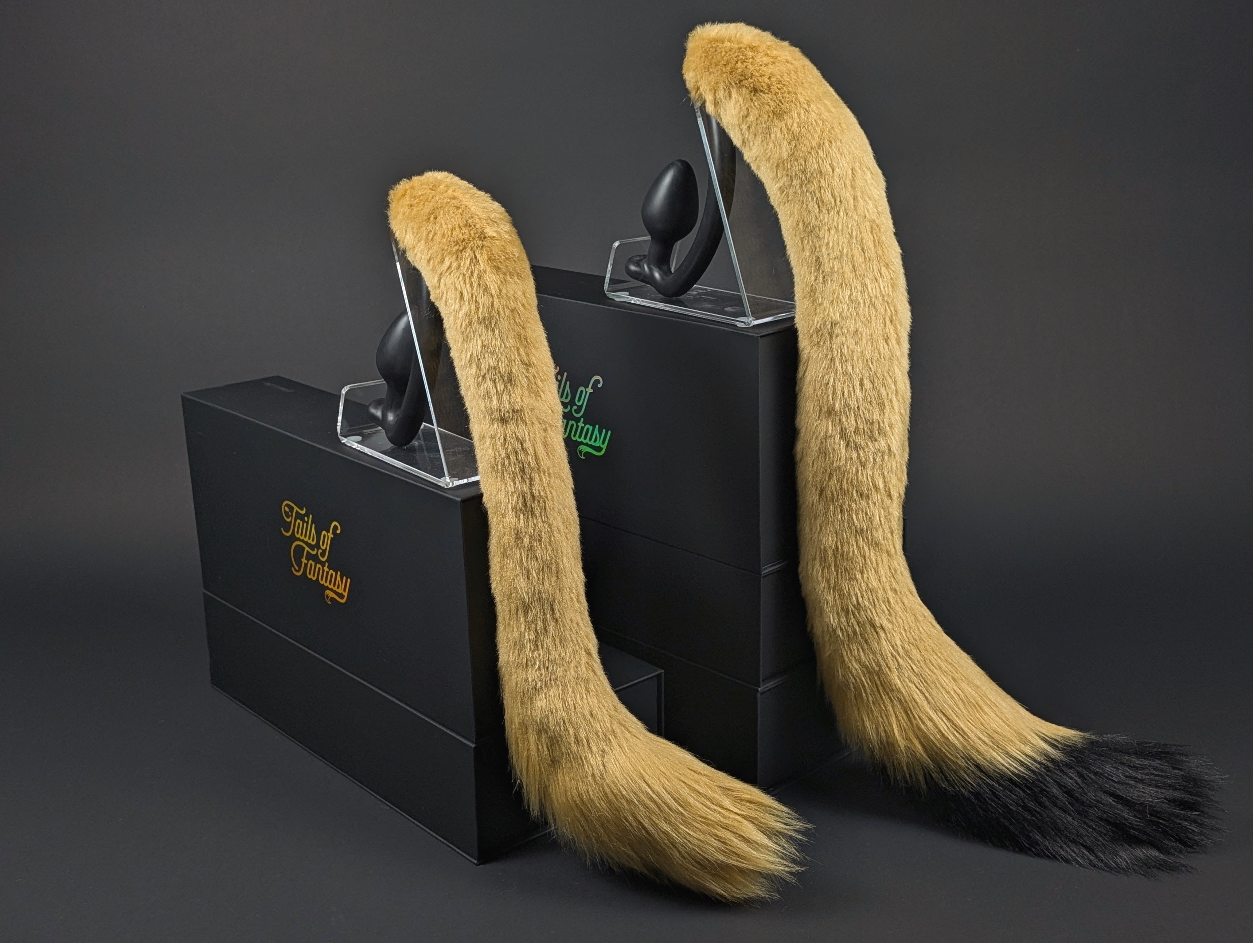 Golden Lion Tail