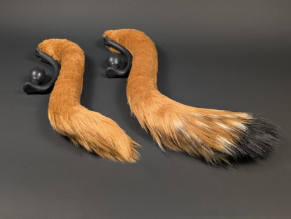 Sandy Lion Tail
