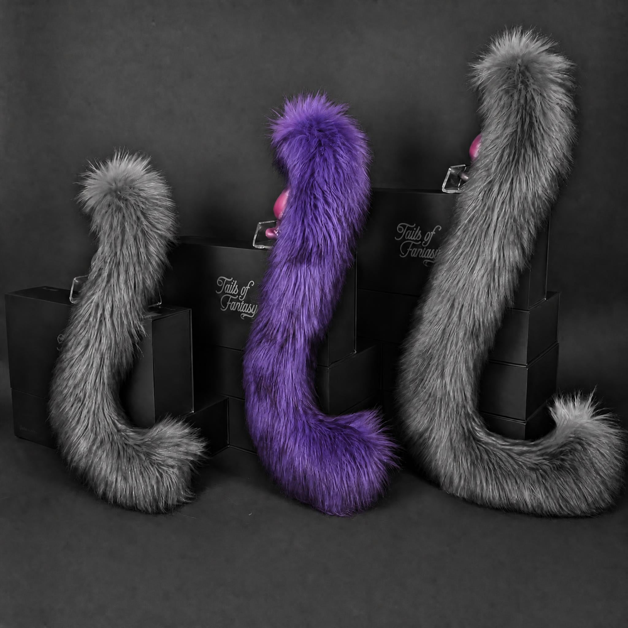 Twilight Cat Tail
