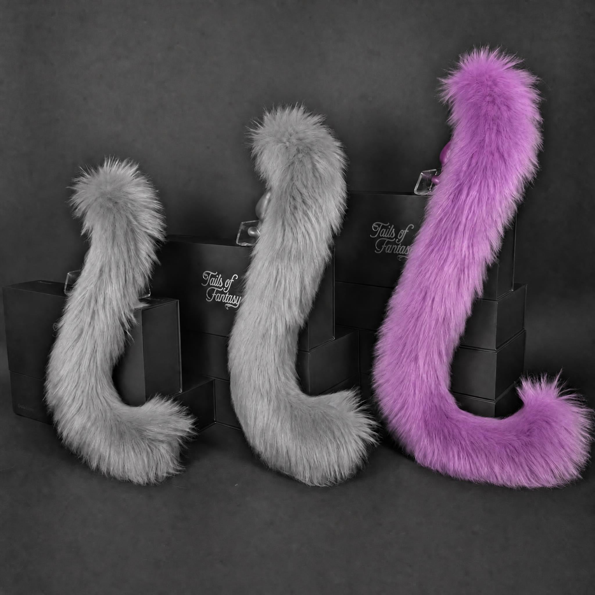 Violet Cat Tail - Long Hair