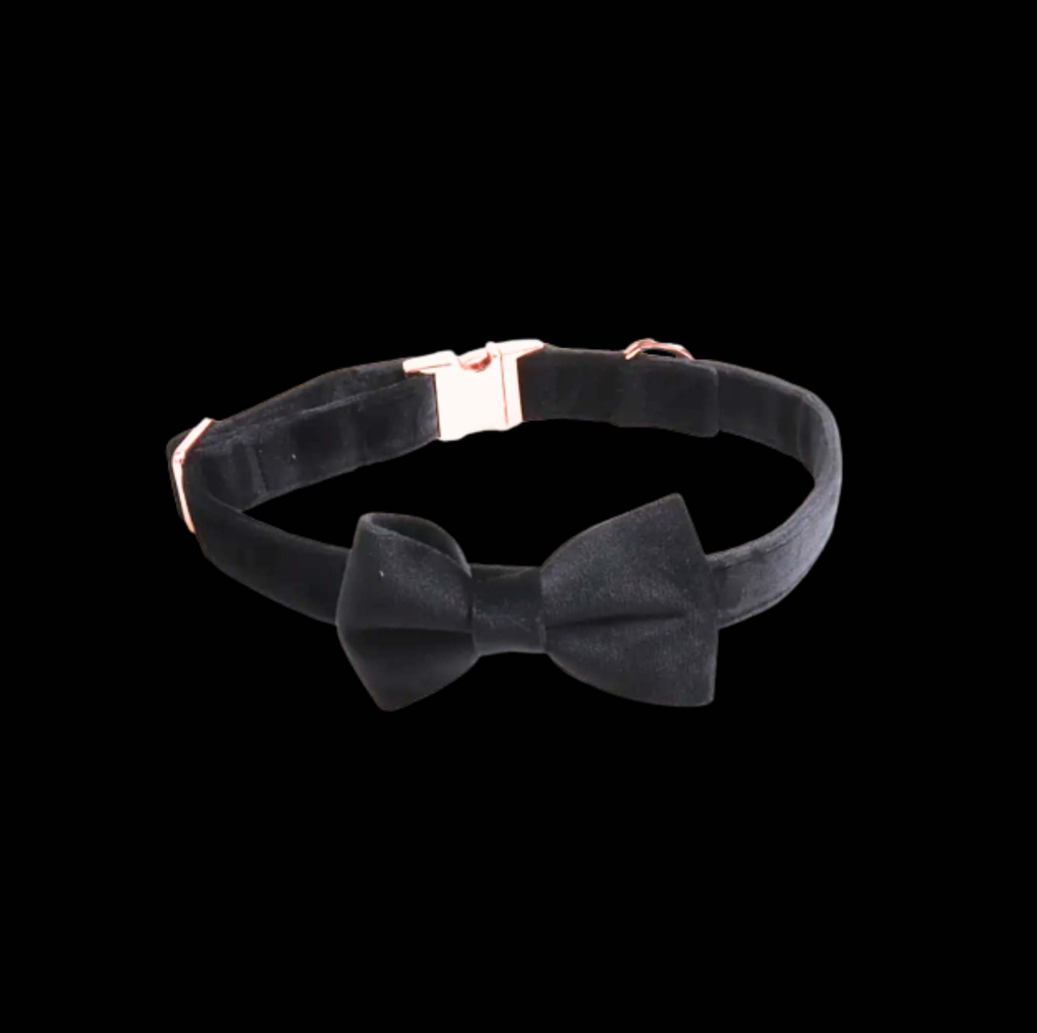 Black Collar w black background::Black