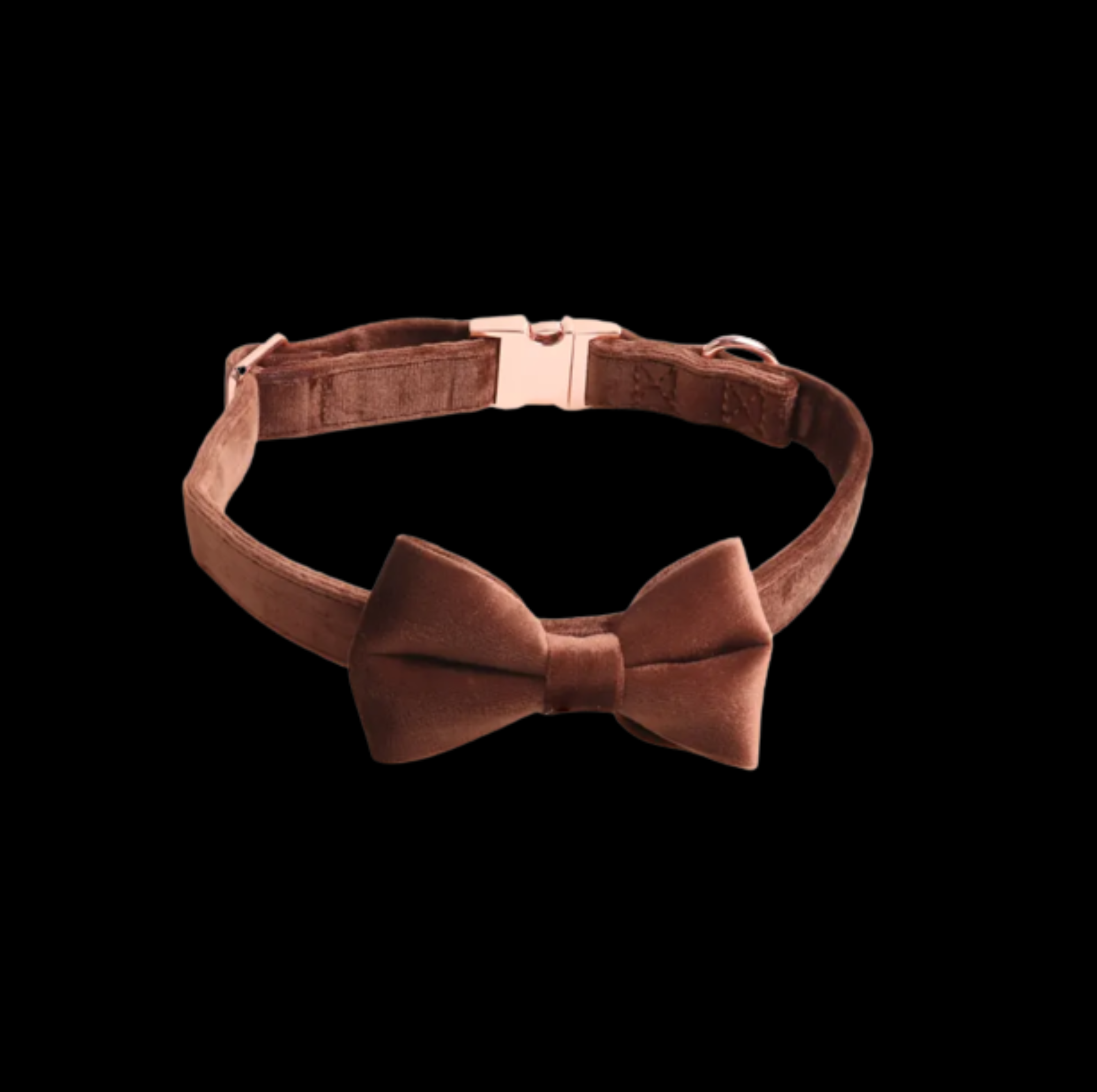 Brown Collar w black background::Brown